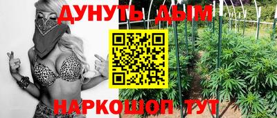 крисы Гусев