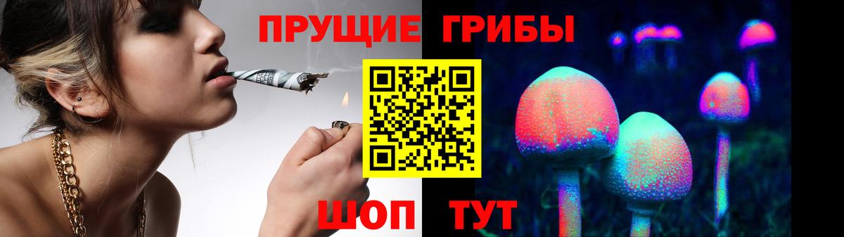 Галлюциногенные грибы Psilocybe  Вход с VPN  Похвистнево 